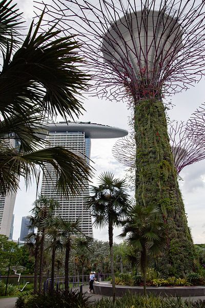 Zone de la baie de Marina à Singapour par Roy Manuhutu
