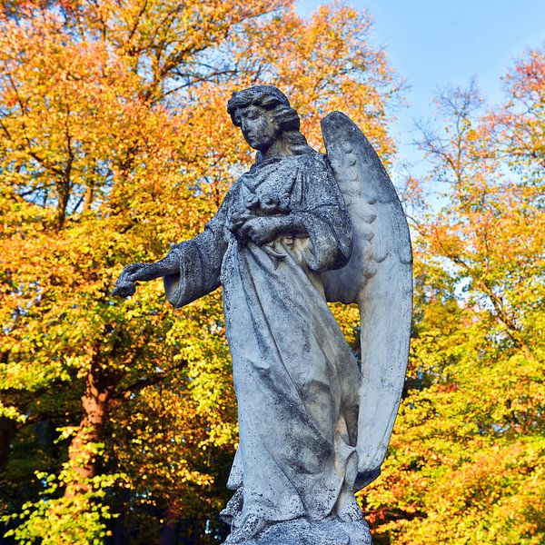Enchanting angel in autumn light by Silva Wischeropp