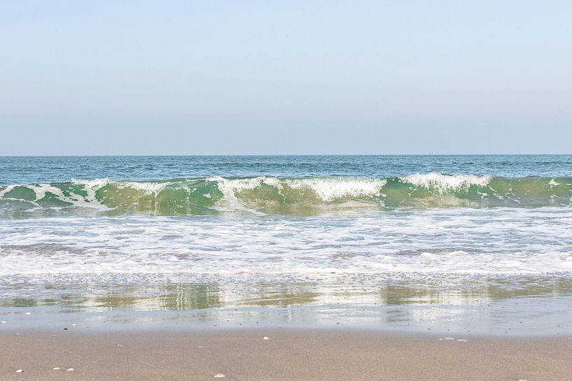 Schevenigen 1.0 van Bibi Henkes