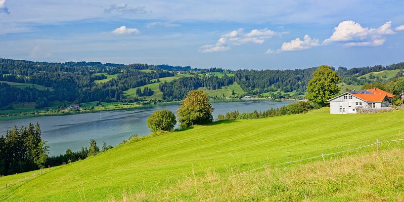 Grosser Alpsee par Gisela Scheffbuch