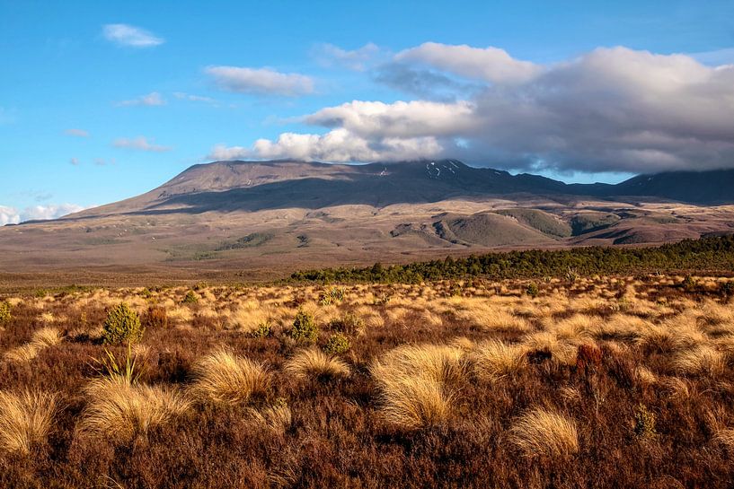 Landscape in Tongariro National Park, New Zealand by Christian Müringer