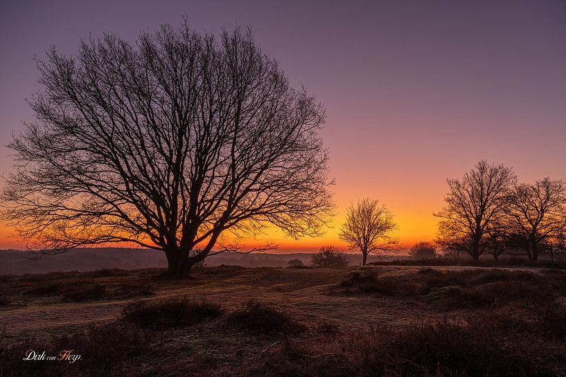 Aufgehende Sonne auf der Posbank. von Dirk V Herp