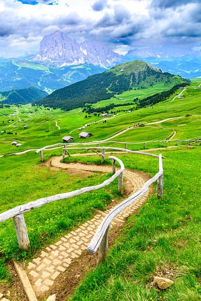 Sentier de montagne Seceda depuis les spectaculaires falaises des Dolomites par Sjoerd van der Wal Photographie