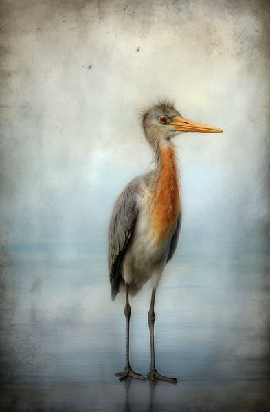 Stille Uhr von Brigitta Meijer