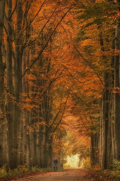 Radfahren auf Gut Marienwaerdt von Moetwil en van Dijk - Fotografie