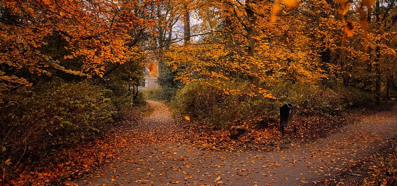 Herbstspaltung von peterheinspictures