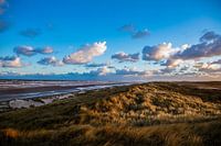 Dünen Terschelling Boschplaat