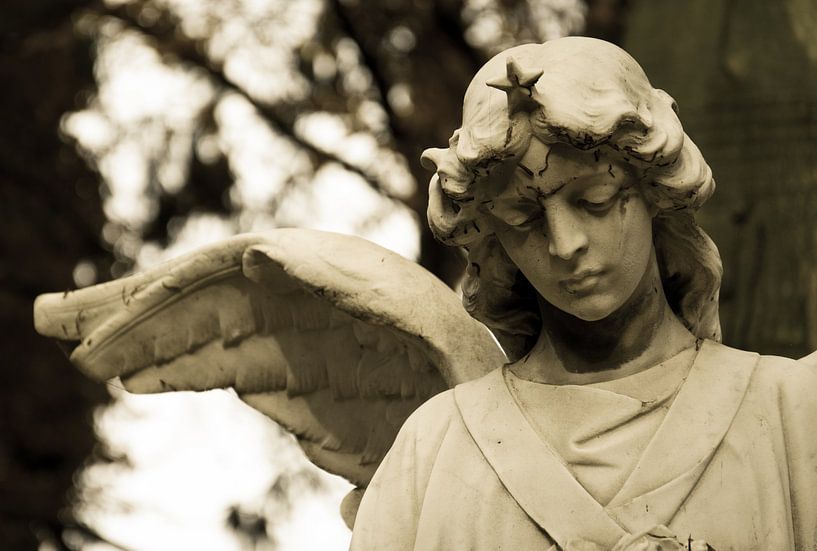 Angel by Jaco Verheul