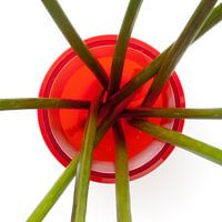 Vase du dessus (#5, vase de HEMA)