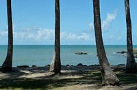 Zeezicht, Port Douglas, Queensland, Australië
