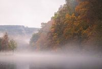 Nebliger Morgen entlang des Flusses Ourthe, Belgien