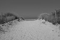 zandweg oostduinkerke BW