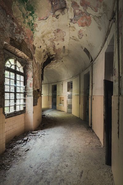 Zellkomplex von Perry Wiertz