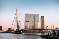 Rotterdam - Le pont Erasmus dans la lumière du soir (1)