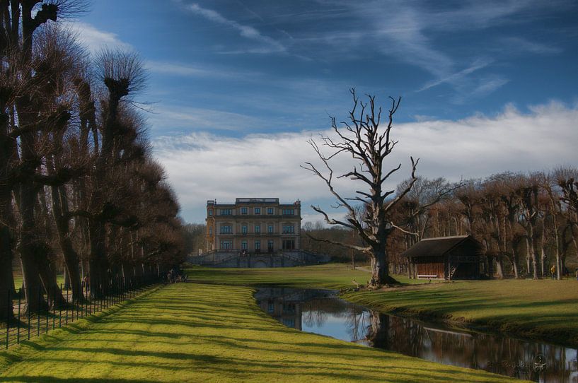 Elwout von Erik Reijnders