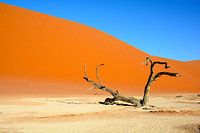 Sossusvlei dunes, Namibia
