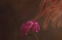 Schoonheid van de Roos