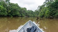 Ecuador - Dschungel - Amazonas