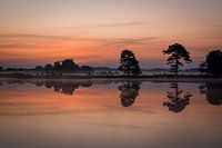 Lever de soleil sur le sable d'Aekinger
