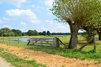 colorful landscape / kleurrijk landschap