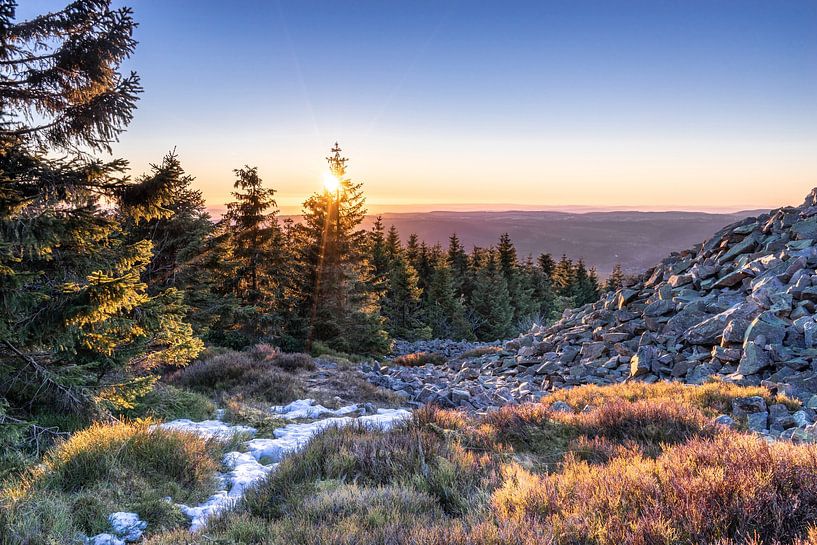 Below the Wolfswarte in the Harz Mountains by Steffen Henze