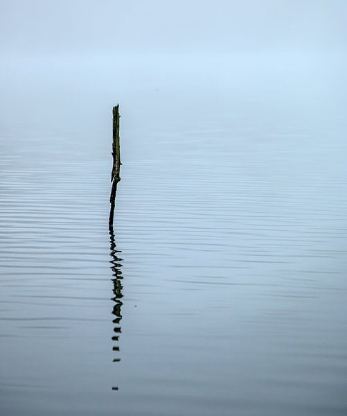 Eenvoud by Pieter Navis