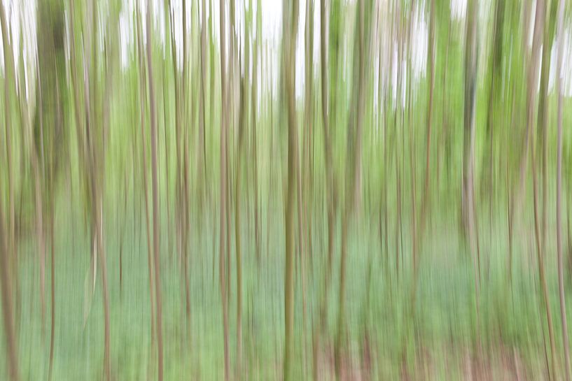 gevoel von Aart Jan van Mossel