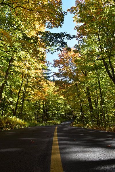 A country road in autumn by Claude Laprise