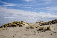 Dunes in the Netherlands on a clear and sunny day