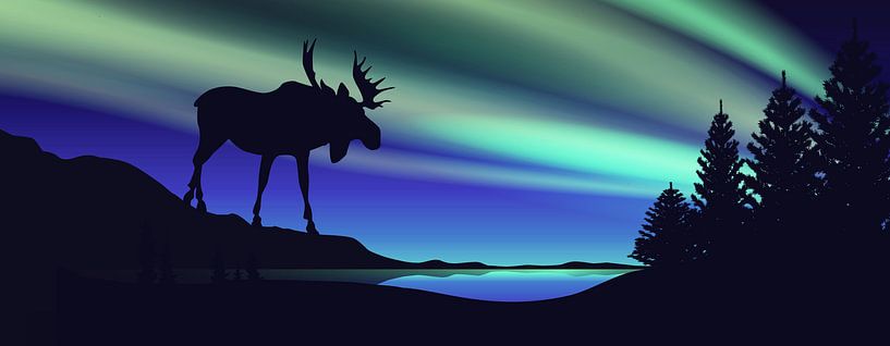 Stehen im Nordlicht von Harry Hadders Design