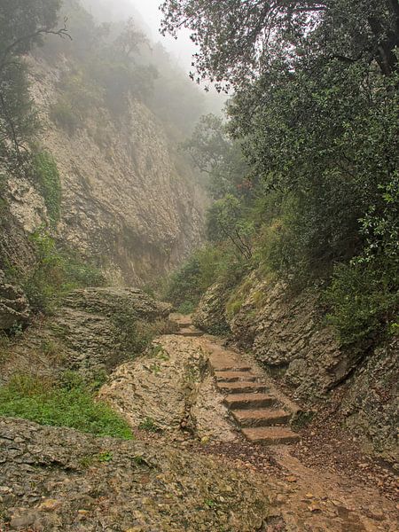 Path through the misty mountains of Montserrat by Kristof Lauwers