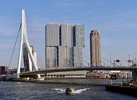 Erasmusbrug, Rotterdam