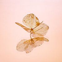 Feuille d'hortensia avec reflet