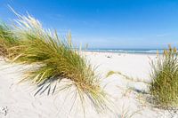 Strand und Dünen von Ameland