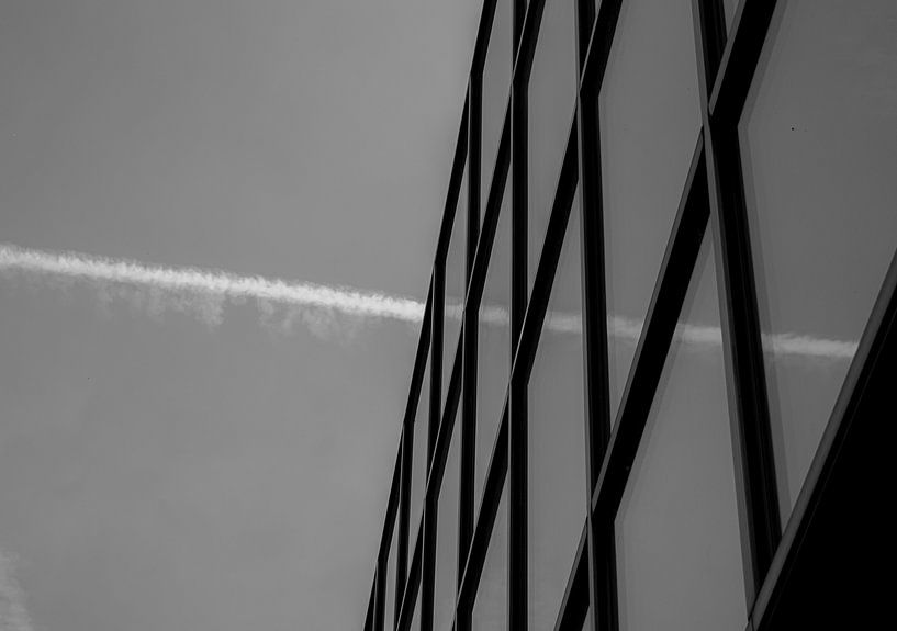 metal frame, or..., windows? by Mauro De Coster