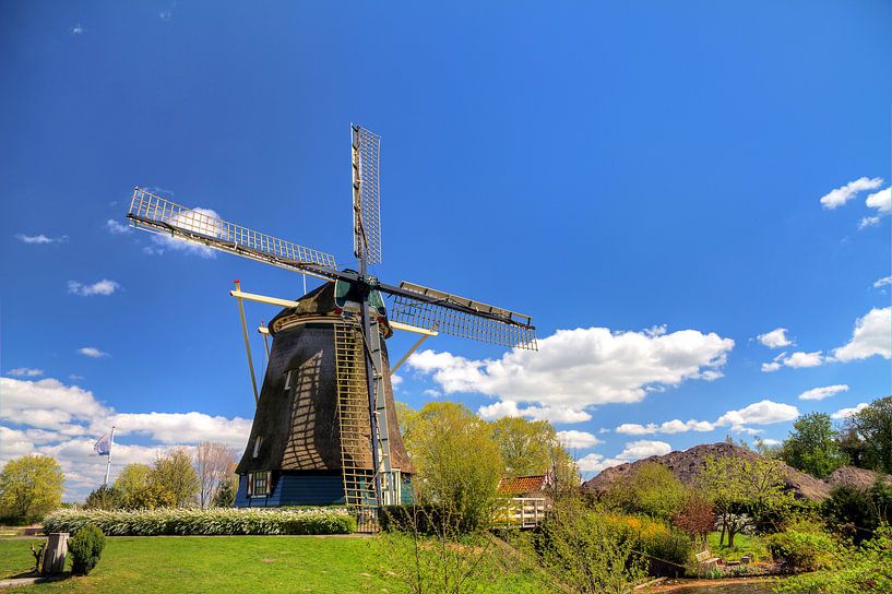 Riekermolen von Dennis van de Water