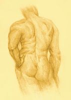 Sketch Man Nude back view bright yellow