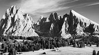 L'Alpe di Siusi en noir et blanc