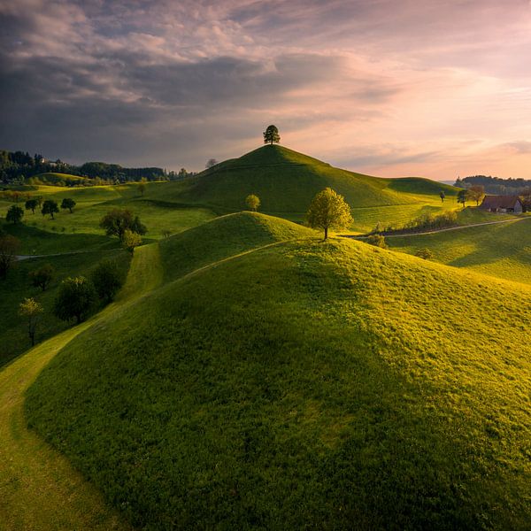 Das Paradies des Landmäurers für Männer von Niels Tichelaar