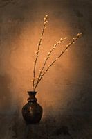Brown vase with catkins