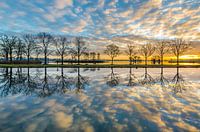 Sunrise with reflection