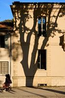 Façade with shadow play of tree