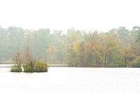 Verträumtes Oisterwijk eialndje