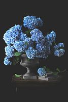 Hortensia stilleven stijl Oude Meesters