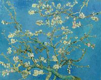Mandelblüte von Vincent van Gogh (Blau)