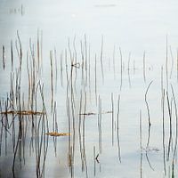 Musiknotation im Wasser