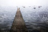 New Beginning, New Path 