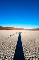 Hiddenvlei (Namibie).