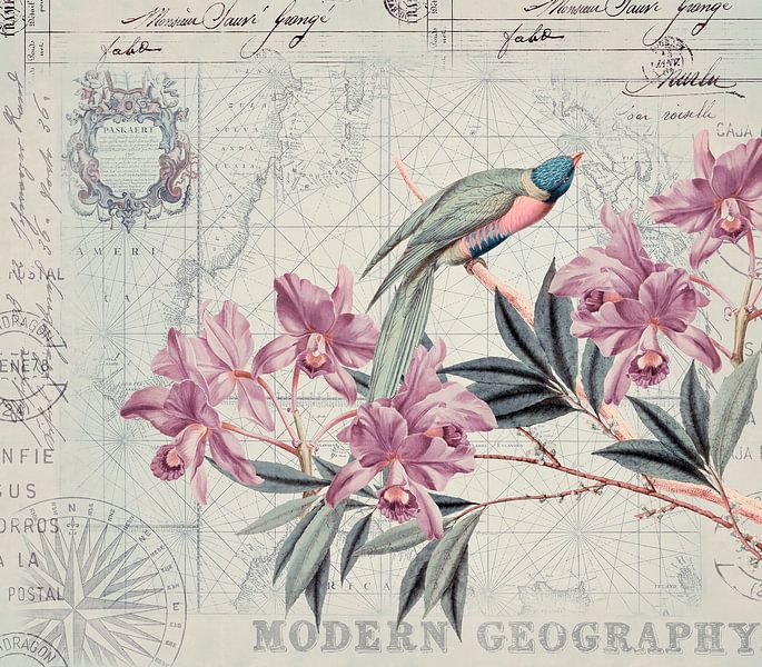 Entdeckungsreise Der Vögel von Andrea Haase