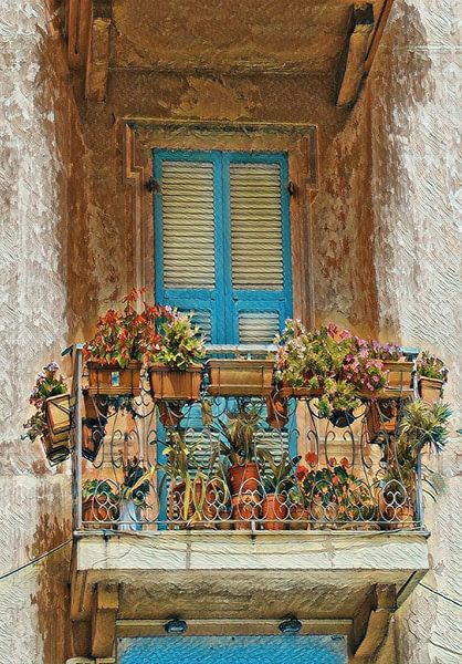 Flowers on balcony by Conte Monfrey